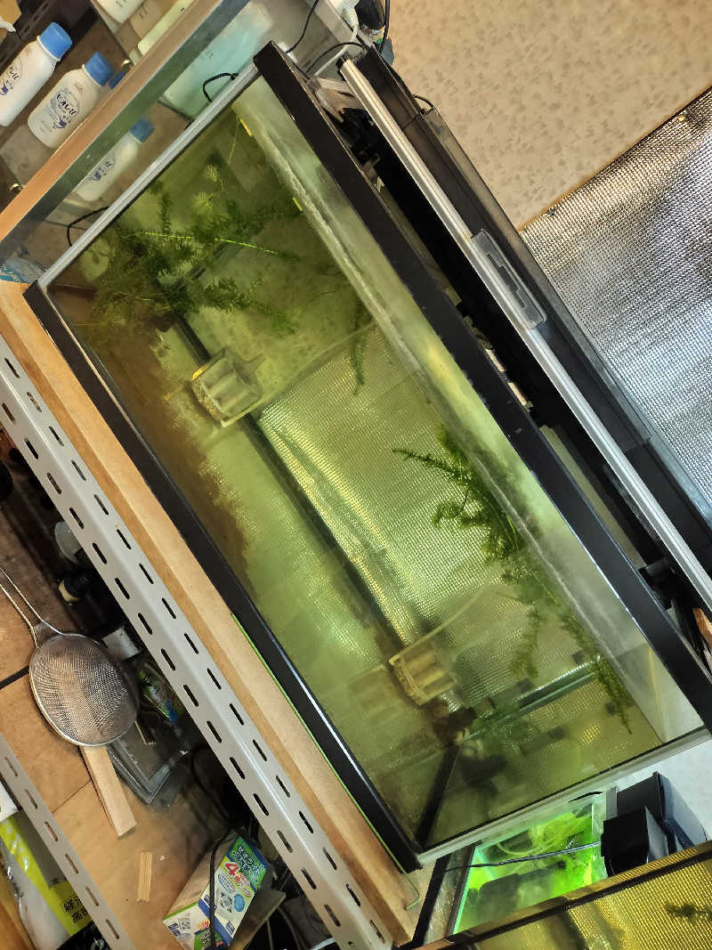 ととのいサムライさんの健晃湯のサ活写真