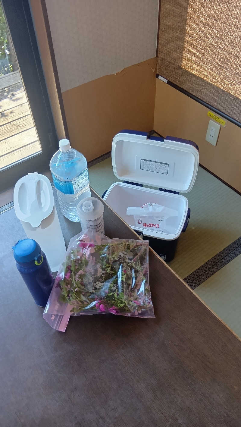 sakizoさんの湯乃市 藤沢柄沢店のサ活写真