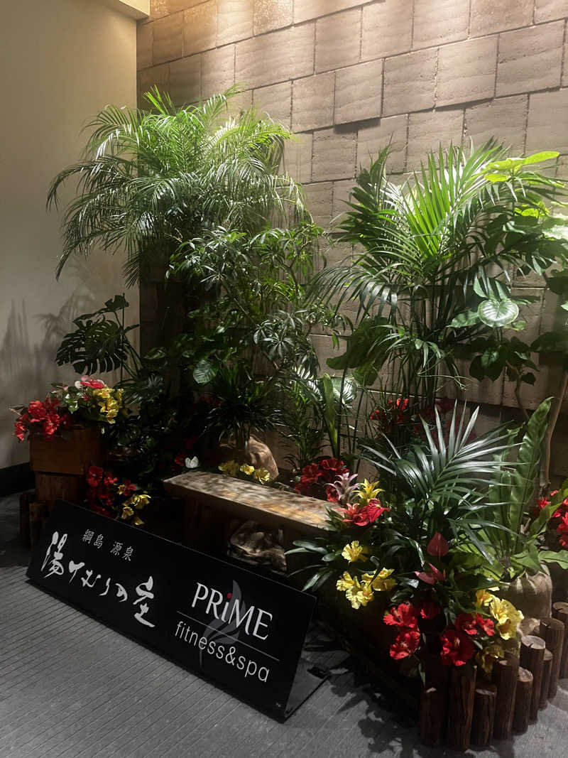 choさんの綱島源泉 湯けむりの庄のサ活写真