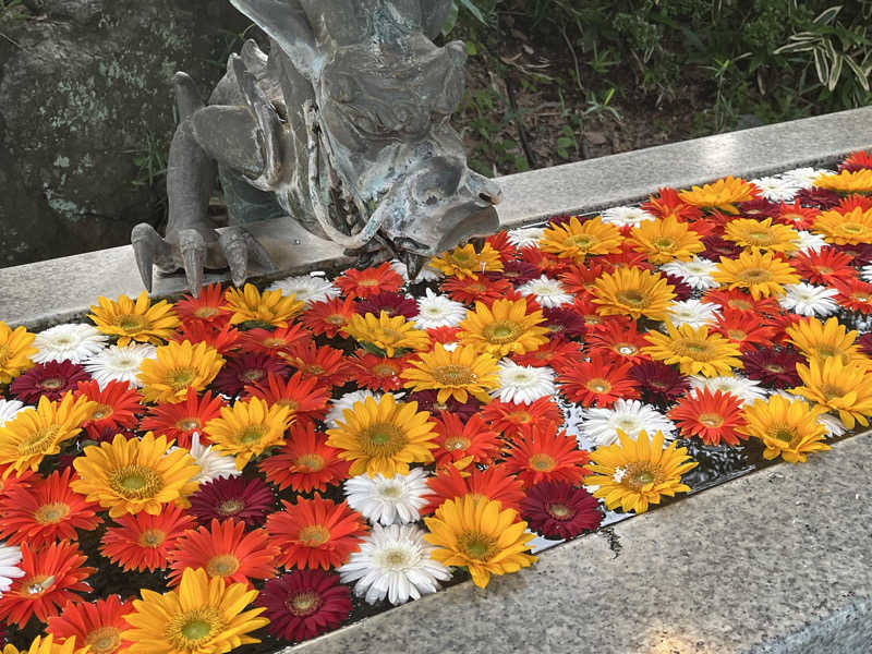 よしおさんのよみうりランド眺望温泉 花景の湯のサ活写真