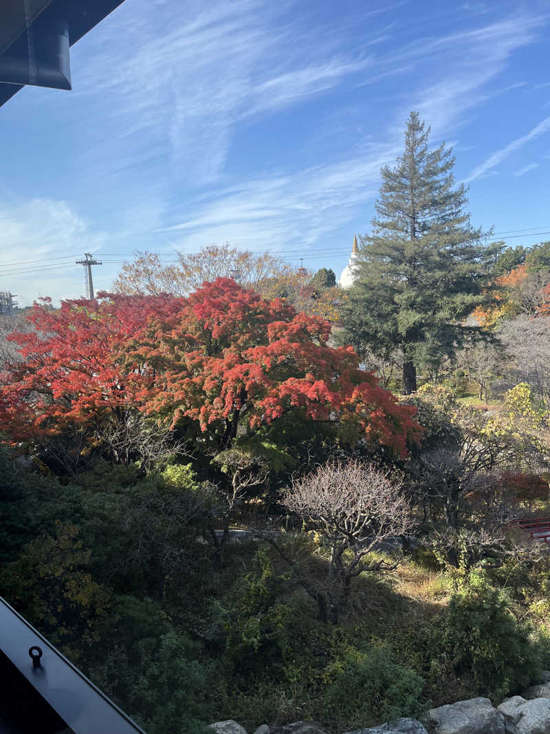 よしおさんのよみうりランド眺望温泉 花景の湯のサ活写真