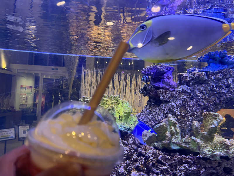 よしおさんのよみうりランド眺望温泉 花景の湯のサ活写真