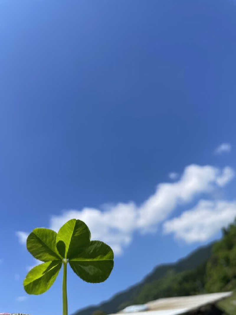 YSKさんの孫橋湯のサ活写真