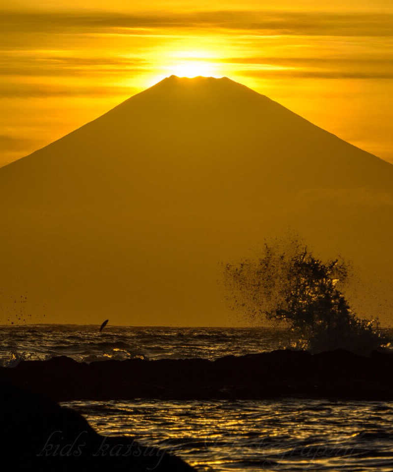 YSKさんの白山湯 高辻店のサ活写真