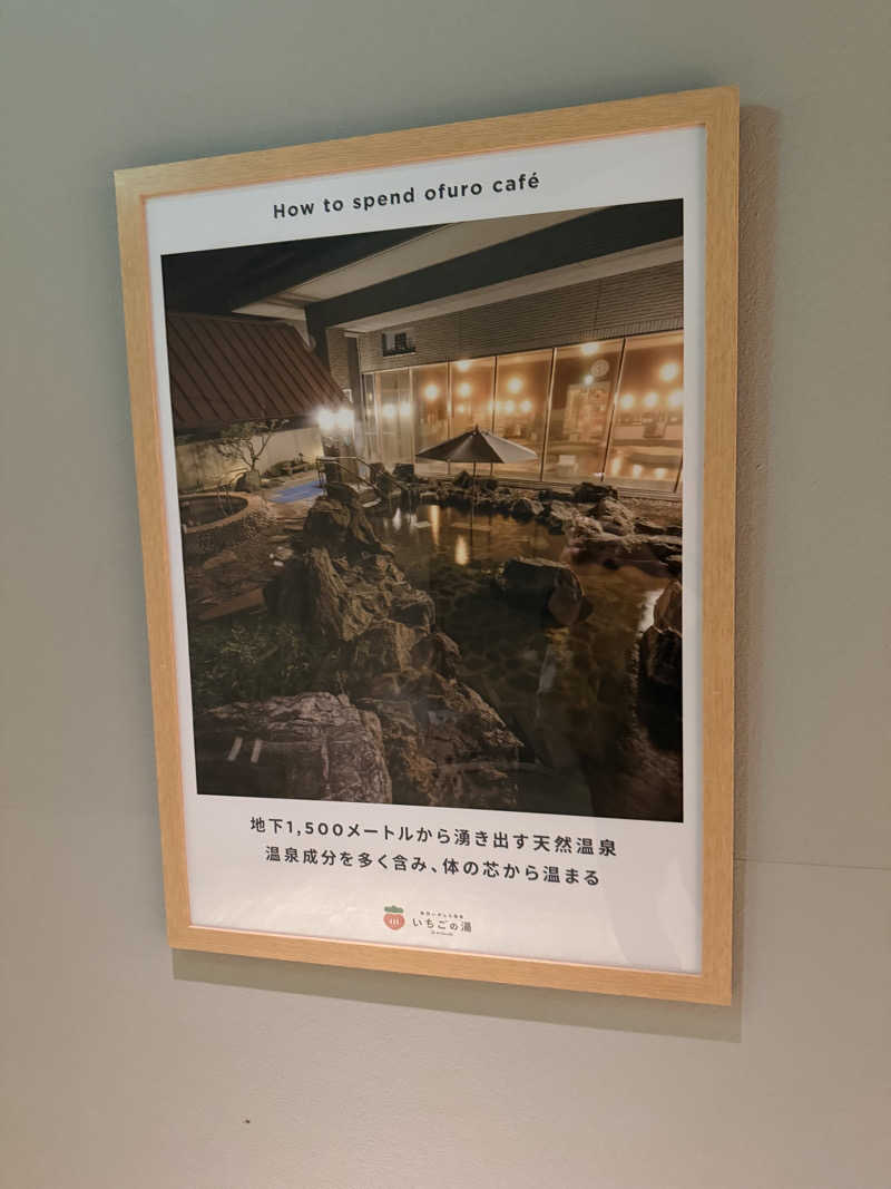 だむさんの真岡いがしら温泉 おふろcafe  いちごの湯のサ活写真
