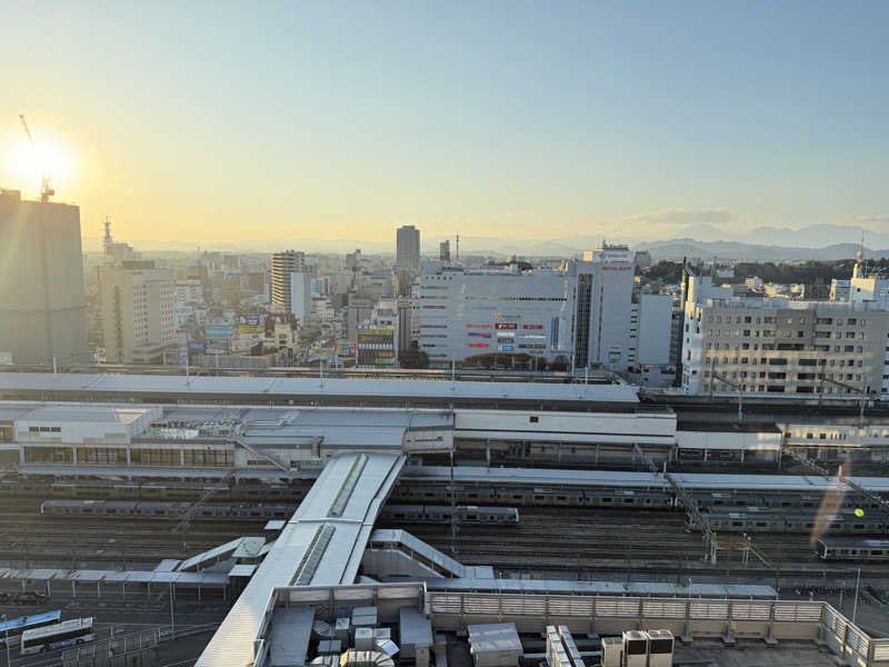 だむさんのカンデオホテルズ宇都宮のサ活写真