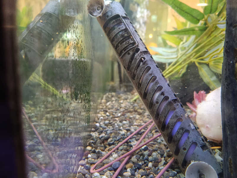 la pâtisserie Kさんの天然温泉リラックスパーク テルメ金沢のサ活写真