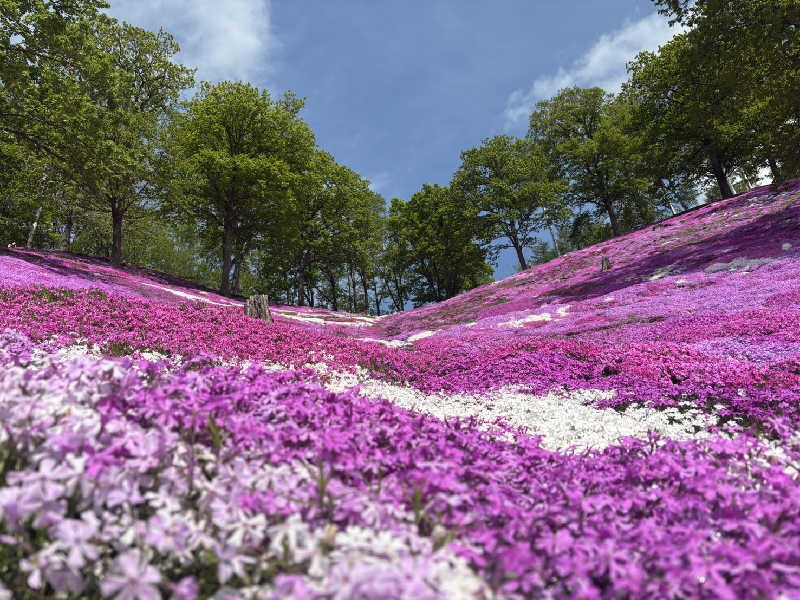 なめりーさんの峠の湯びほろのサ活写真