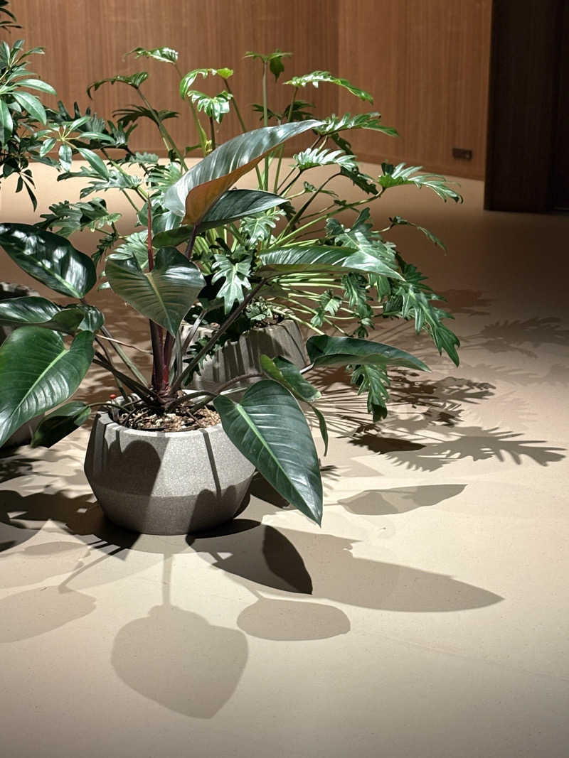 しろさんの高輪SAUNASのサ活写真