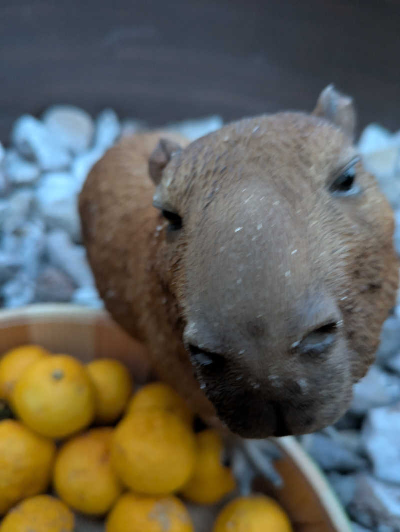 みんと（クマ夫人）さんの富士山天然水SPA サウナ鷹の湯のサ活写真