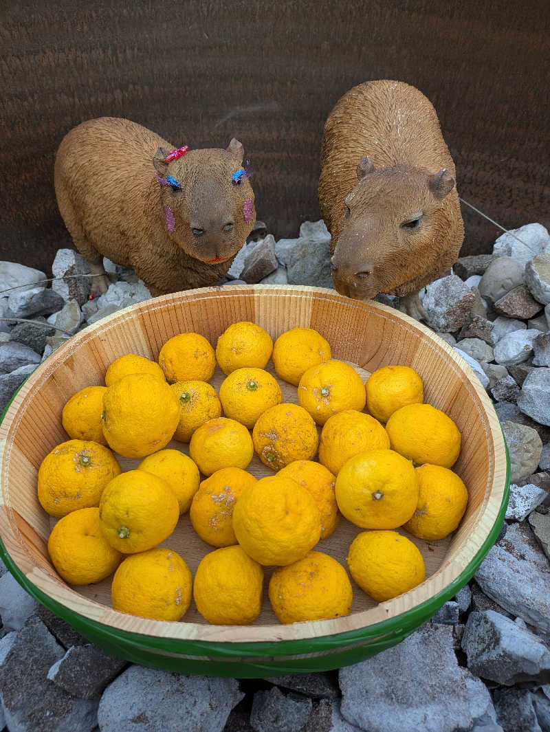 みんと（クマ夫人）さんの富士山天然水SPA サウナ鷹の湯のサ活写真