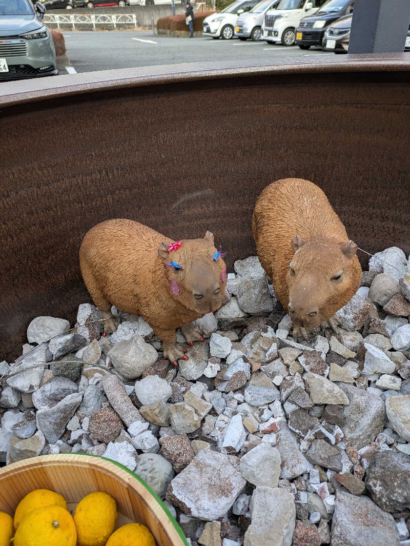 みんと（クマ夫人）さんの富士山天然水SPA サウナ鷹の湯のサ活写真