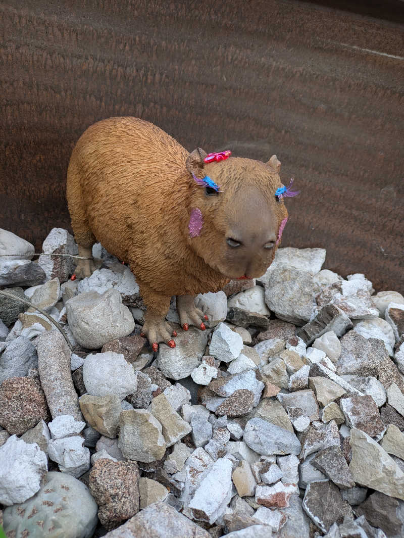 みんと（クマ夫人）さんの富士山天然水SPA サウナ鷹の湯のサ活写真