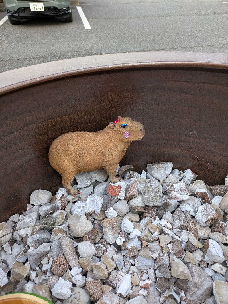 みんと（クマ夫人）さんの富士山天然水SPA サウナ鷹の湯のサ活写真