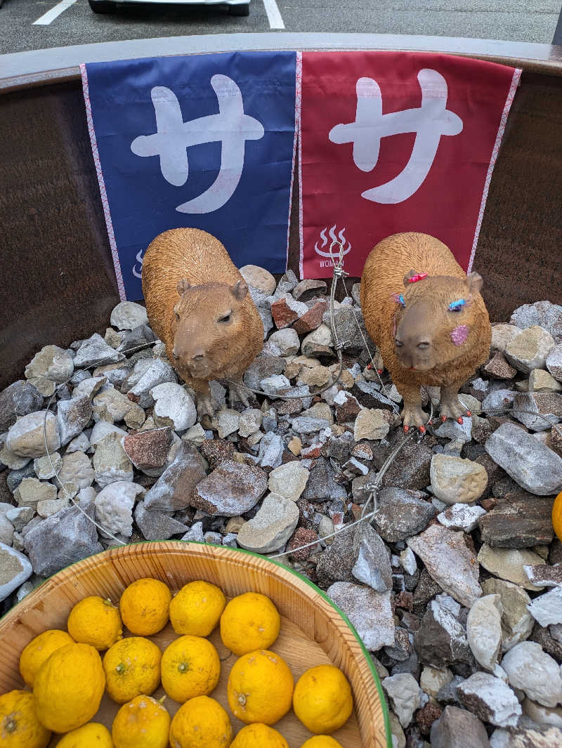 みんと（クマ夫人）さんの富士山天然水SPA サウナ鷹の湯のサ活写真