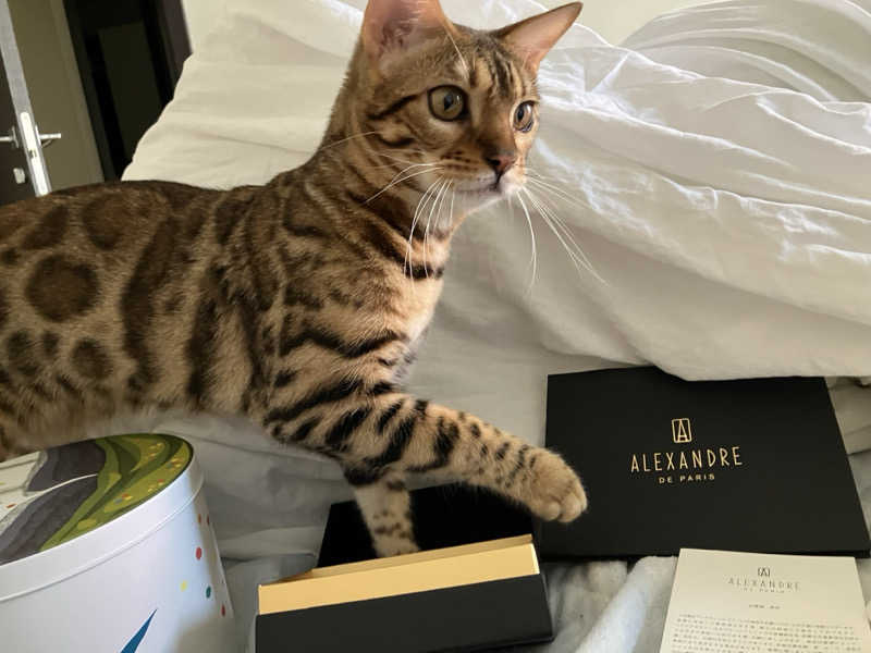 ねこさんさんの改良湯のサ活写真