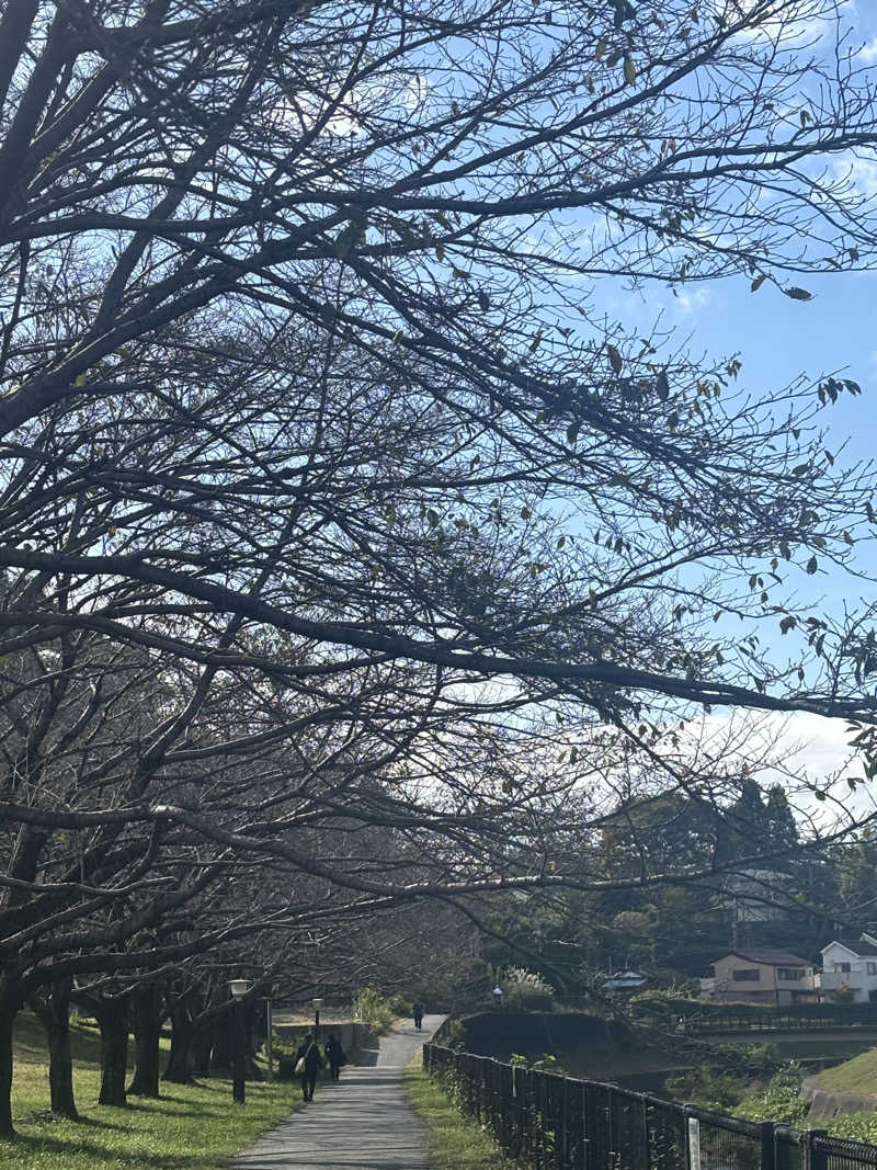 おばぶばぶさんの竜泉寺の湯 八王子みなみ野店のサ活写真