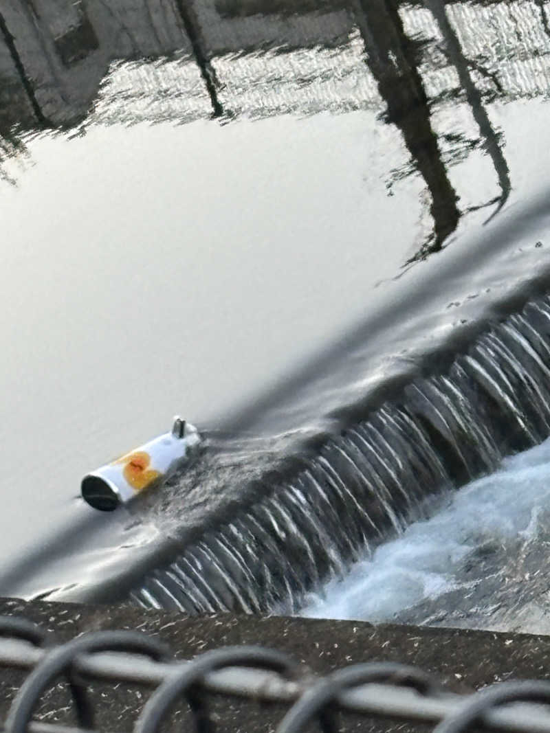 おばぶばぶさんの竜泉寺の湯 八王子みなみ野店のサ活写真