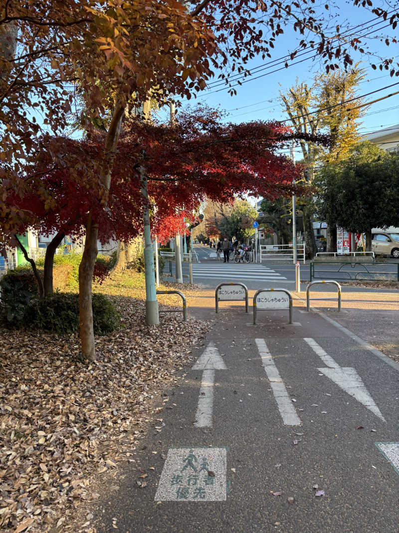 おばぶばぶさんのおふろの王様 花小金井店のサ活写真