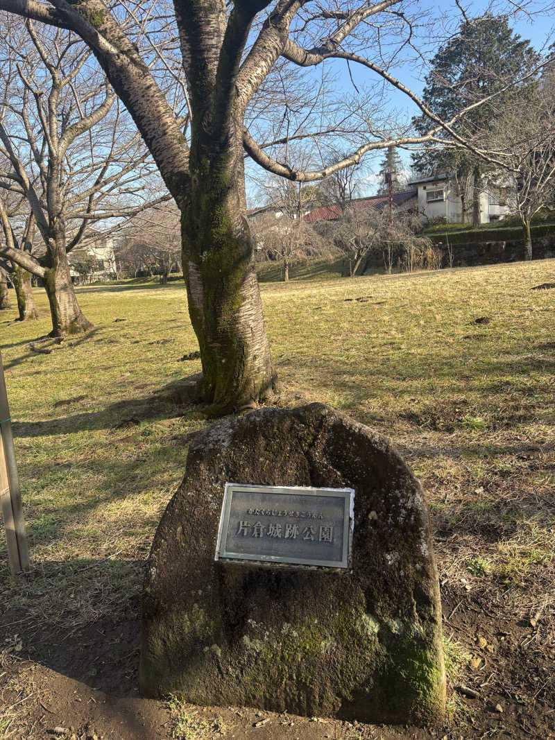 おばぶばぶさんの竜泉寺の湯 八王子みなみ野店のサ活写真