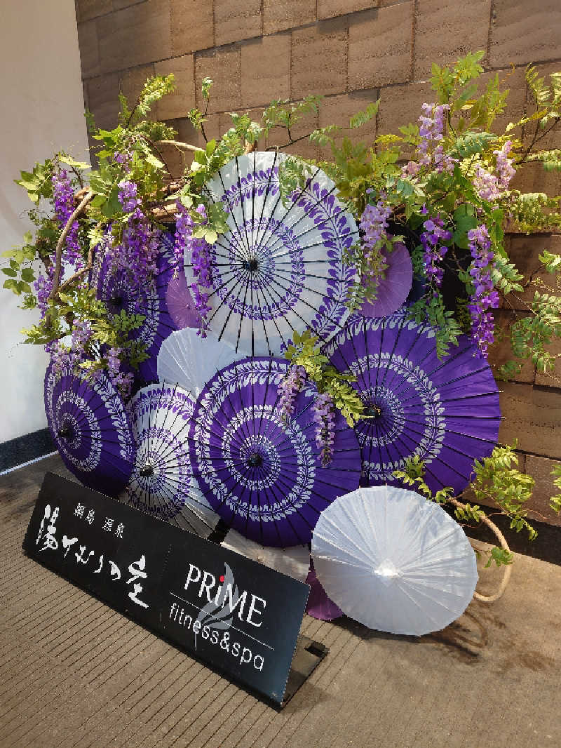 かずくんさんの綱島源泉 湯けむりの庄のサ活写真