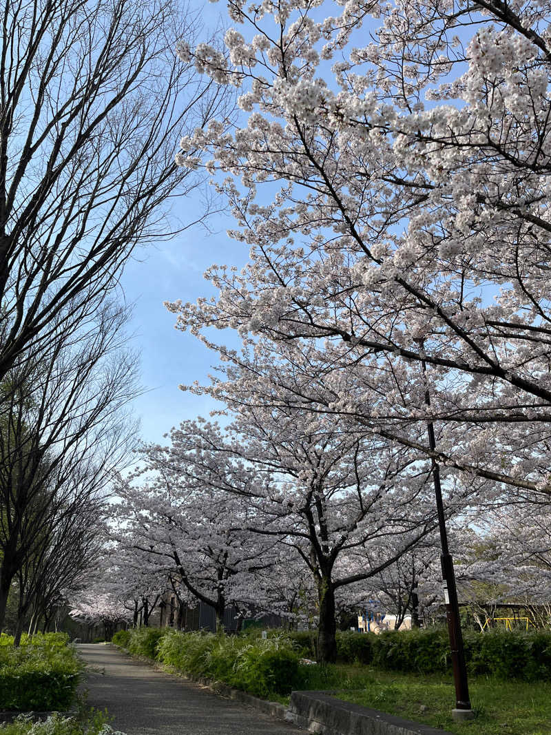 AyaさんのRAKU SPA GARDEN 名古屋のサ活写真