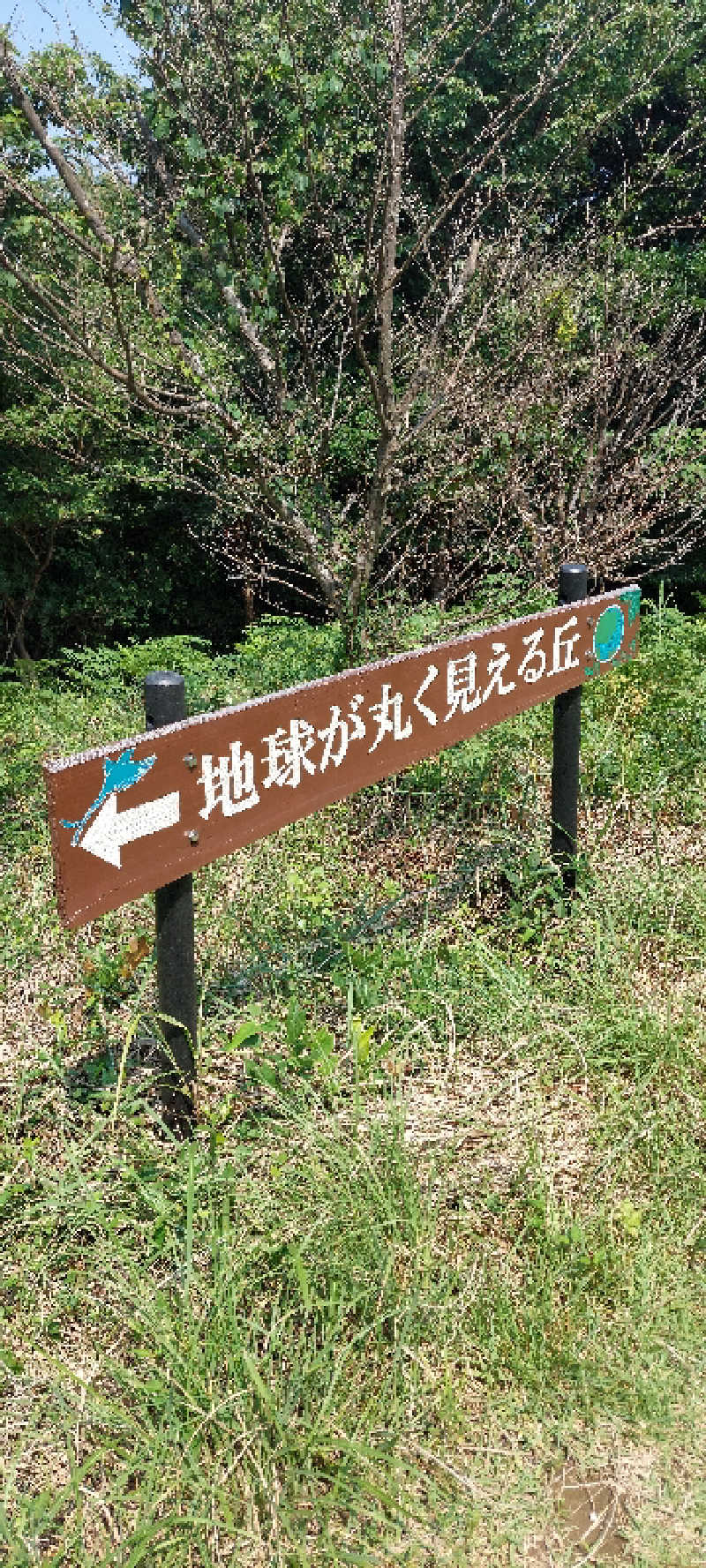 まーさんの八面山金色温泉のサ活写真