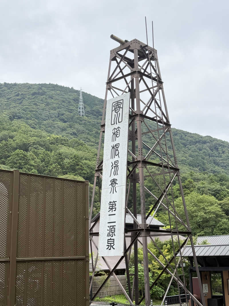 唐揚げの錬金術師さんの箱根湯寮のサ活写真
