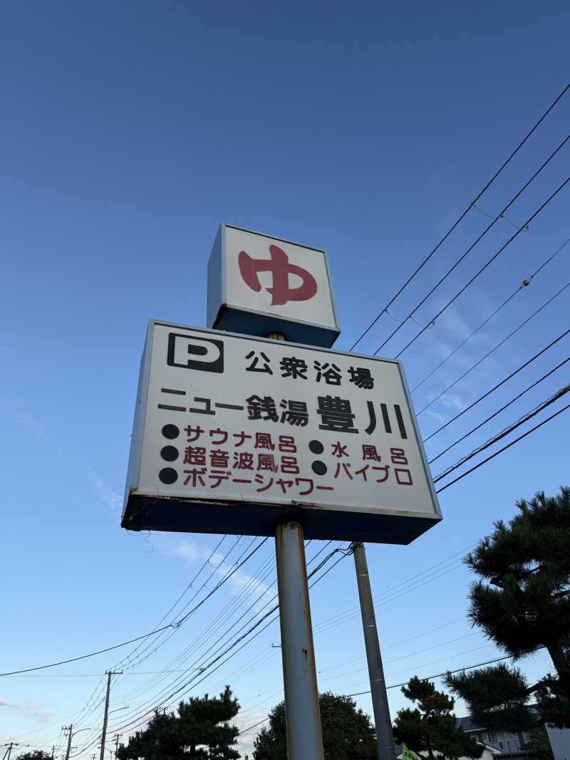 唐揚げの錬金術師さんのニュー銭湯 豊川のサ活写真
