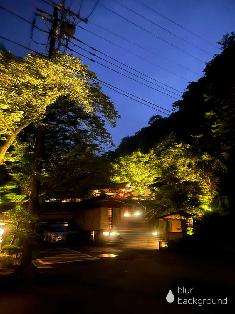ダイスケさんの天山湯治郷 ひがな湯治 天山のサ活写真