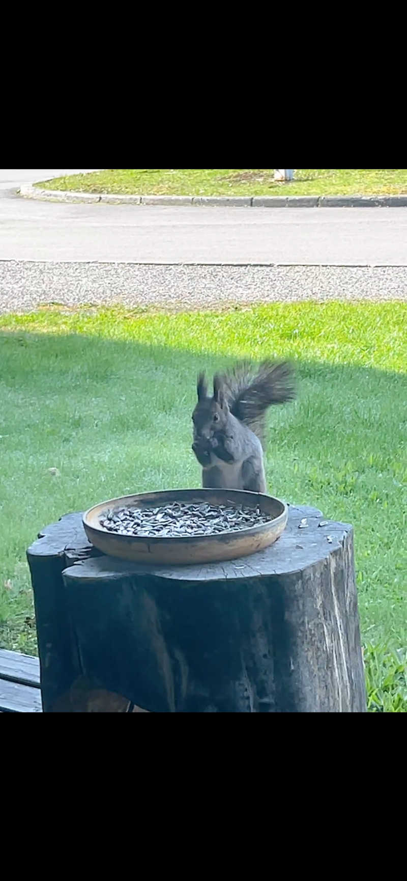ミサウナ♨️さんのログホテル  ザ  メープルロッジのサ活写真