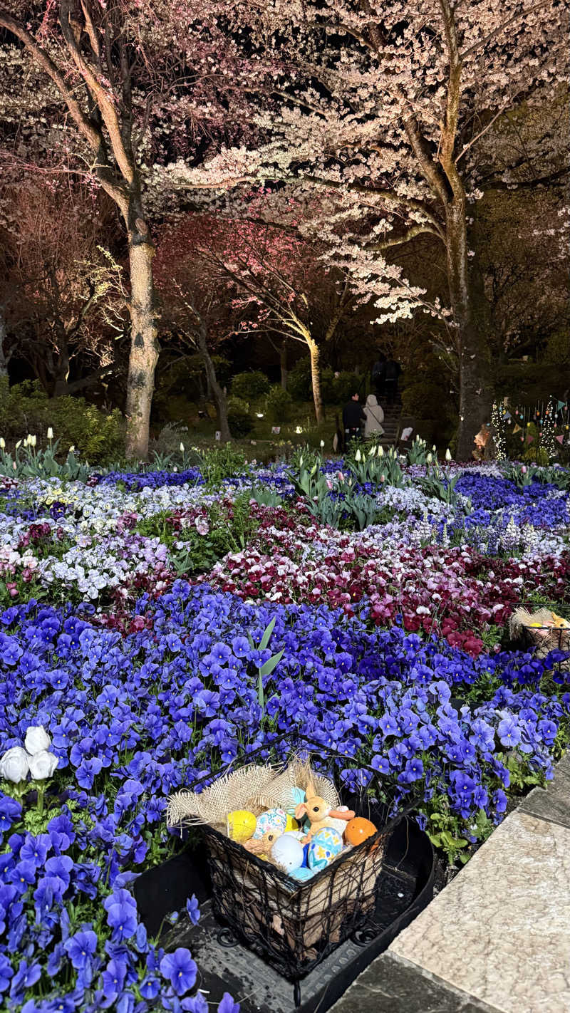 みさんのよみうりランド眺望温泉 花景の湯のサ活写真