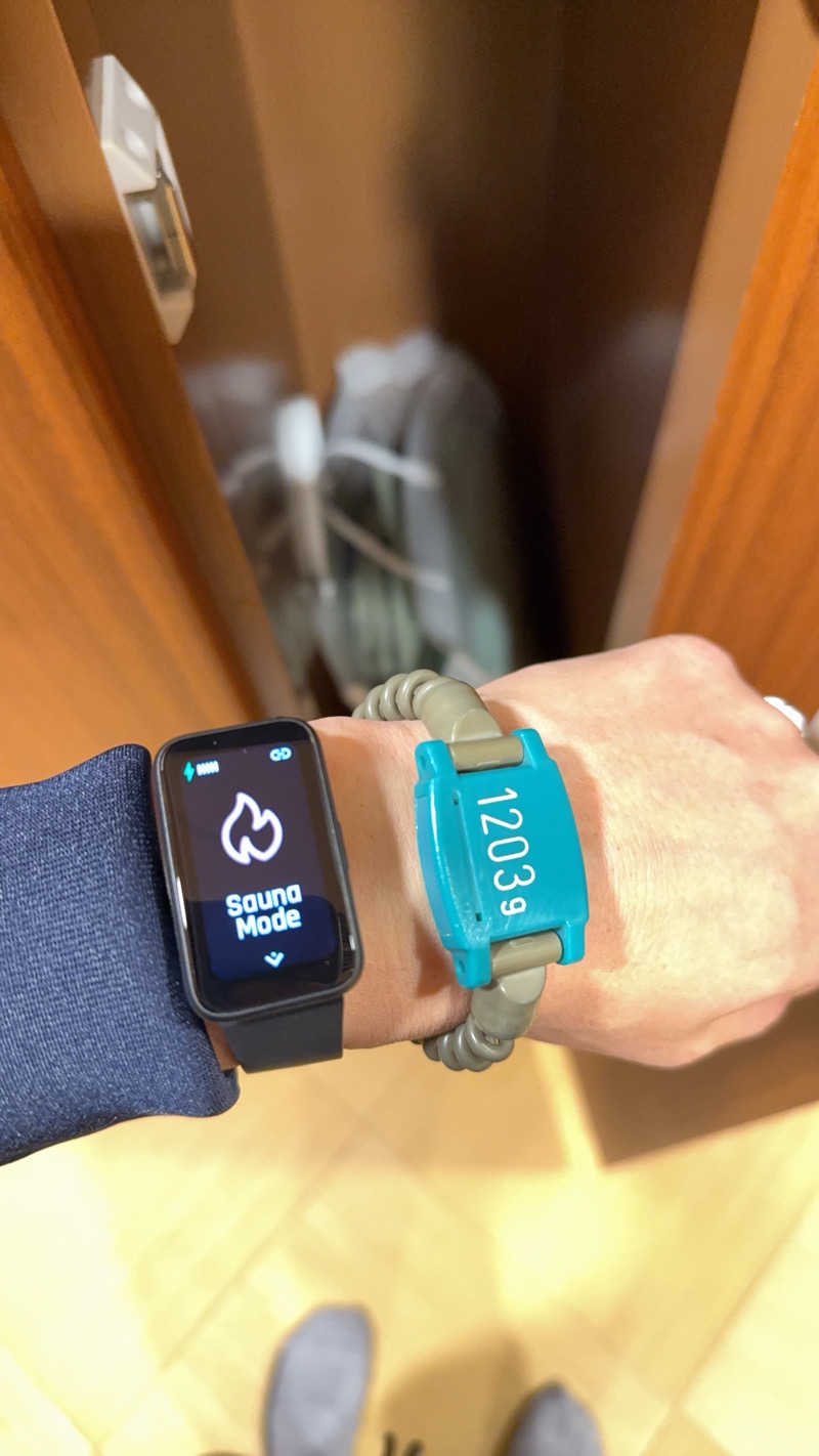 KENZO_Saunaさんの豊島園 庭の湯のサ活写真