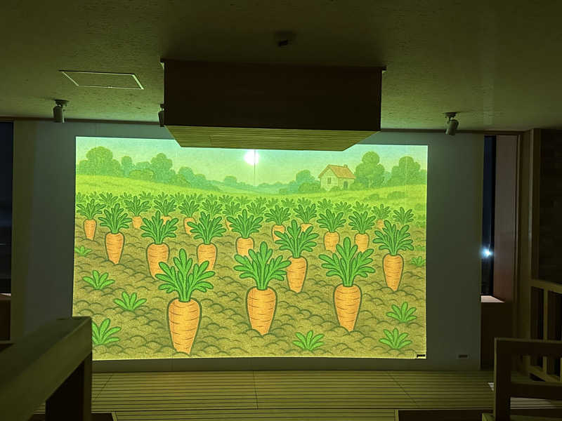 ゆみっち*°♡さんの常総ONSEN&SAUNA お湯むすびのサ活写真