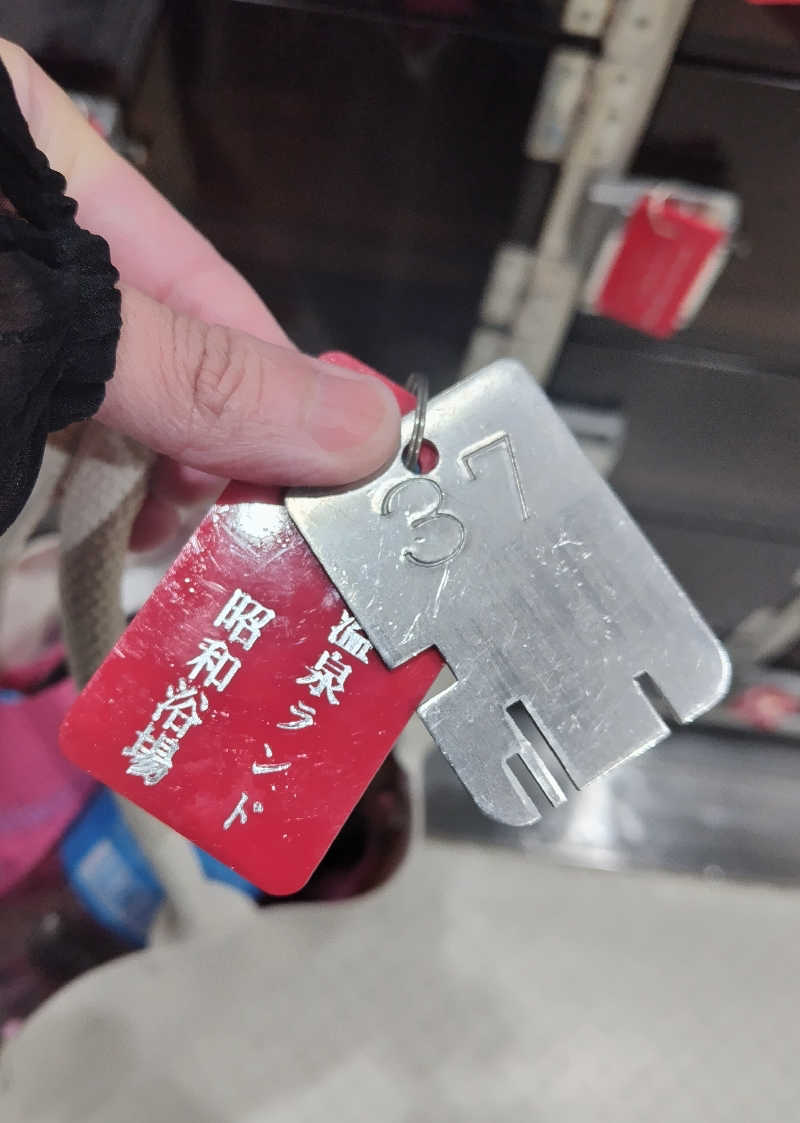 ヽ(・∀・)ノさんのマジック温泉 昭和浴場のサ活写真