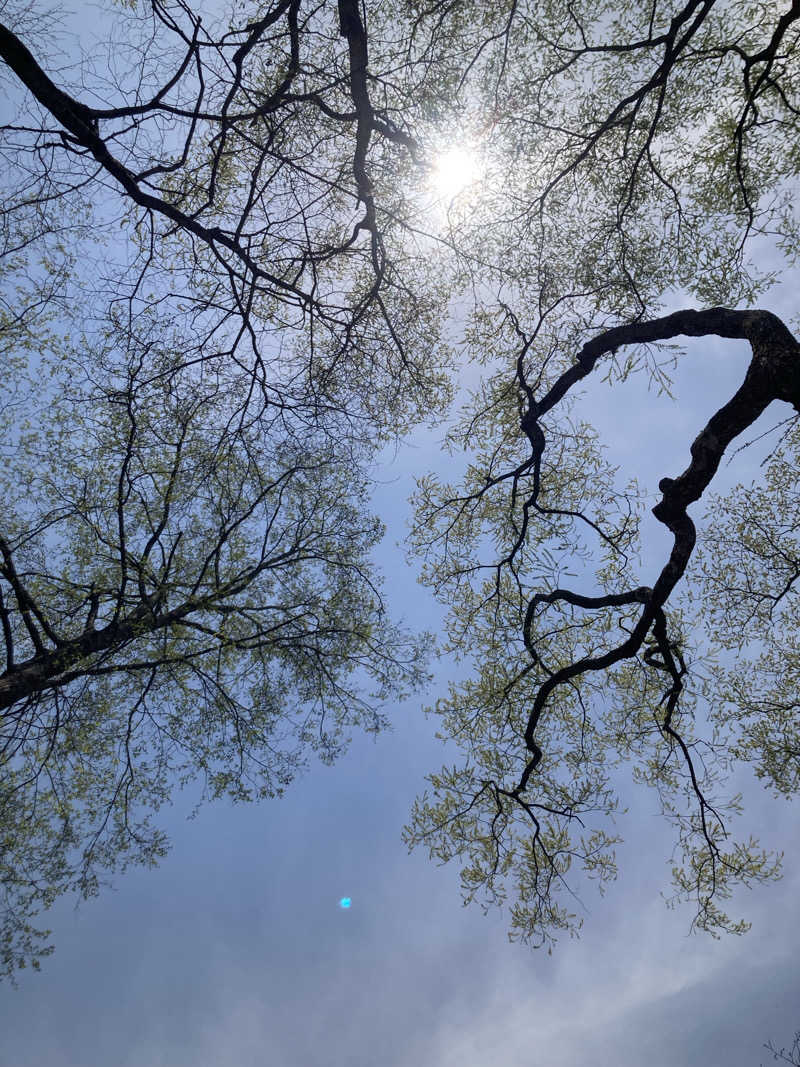 TAKE55さんのThe Saunaのサ活写真