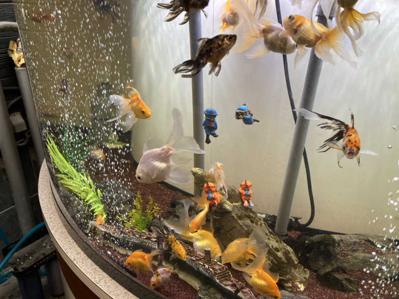 チョコミントさんのまるた屋温泉 西方の湯のサ活写真