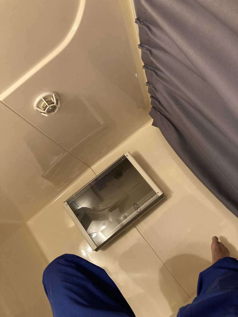 チョコミントさんのレックスイン川崎のサ活写真