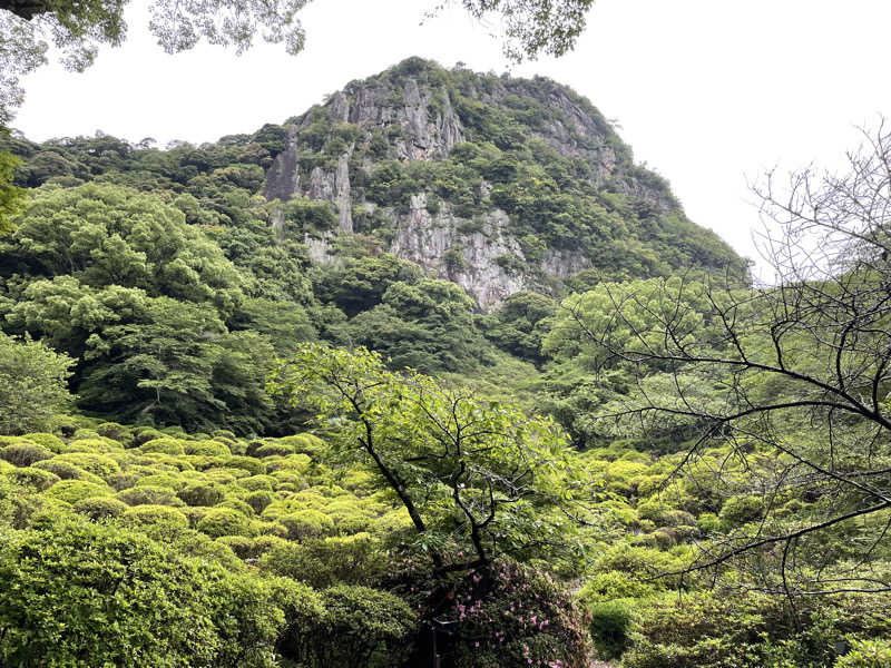 仁左衛門さんの御船山楽園ホテル  らかんの湯のサ活写真