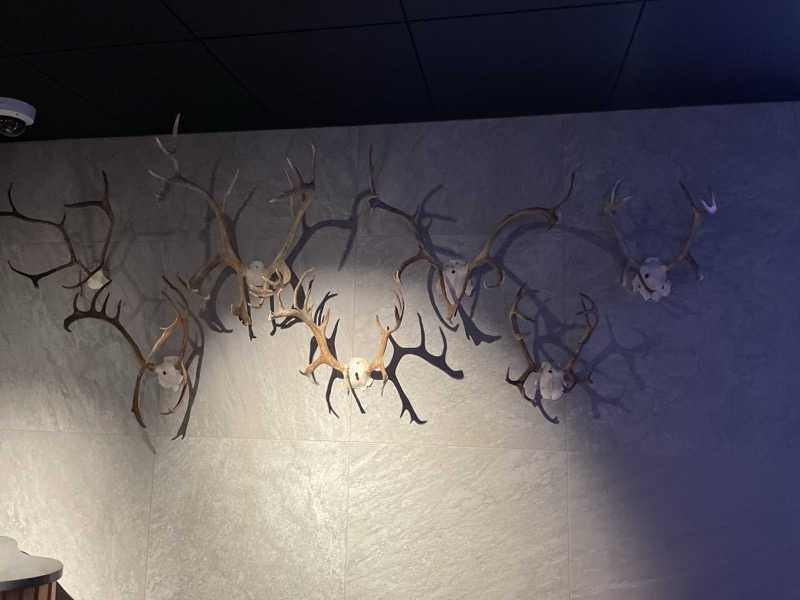 仁左衛門さんのLapland Hotels Arenaのサ活写真