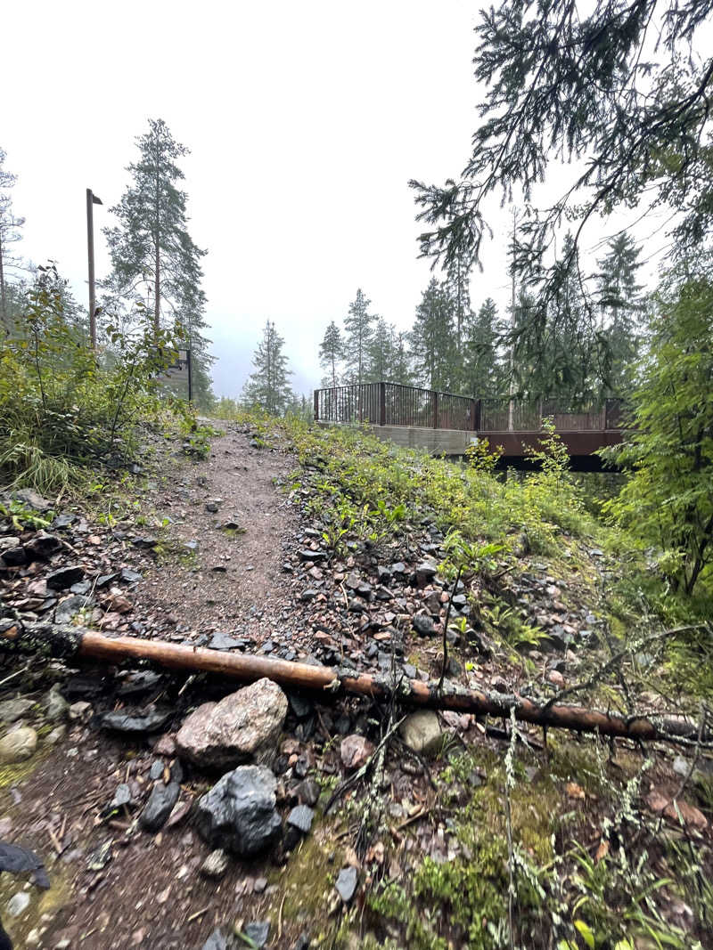 仁左衛門さんのCafe Kuusijärviのサ活写真