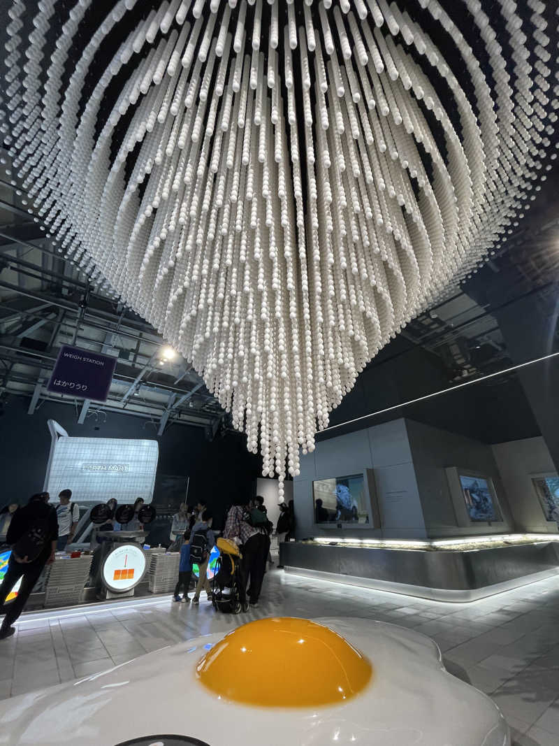 仁左衛門さんの湯元花乃井スーパーホテル大阪天然温泉のサ活写真