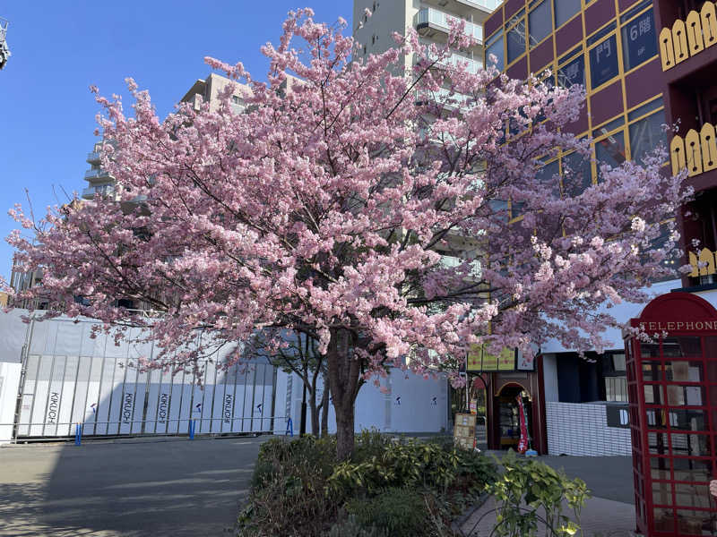 仁左衛門さんの豊島園 庭の湯のサ活写真