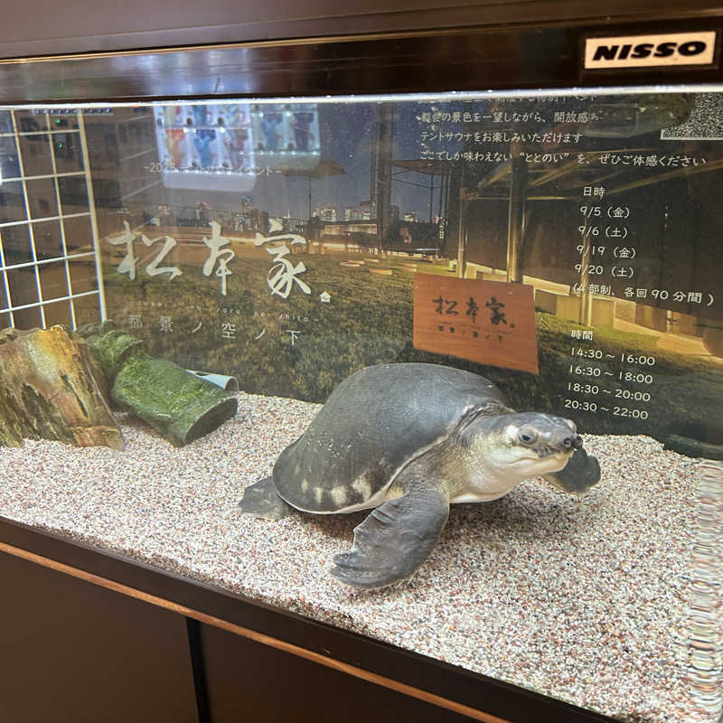 たけし⋈*｡ﾟさんの松本湯のサ活写真