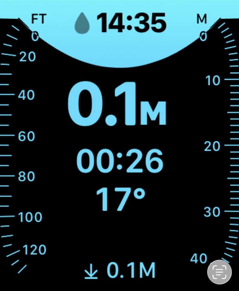 ericthekingさんの馬場サウナのサ活写真