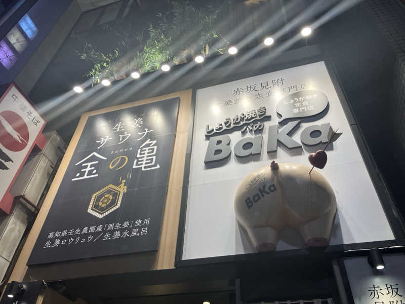 Adaさんの生姜サウナ 金の亀のサ活写真