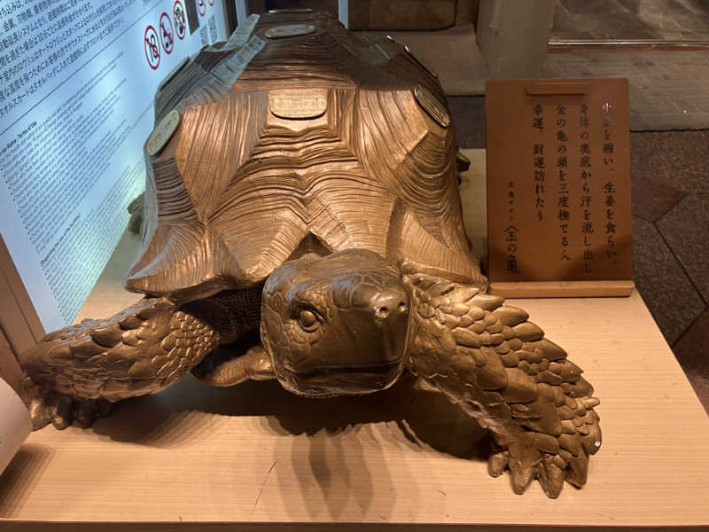 Adaさんの生姜サウナ 金の亀のサ活写真