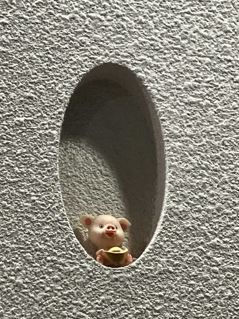 Adaさんの生姜サウナ 金の亀のサ活写真