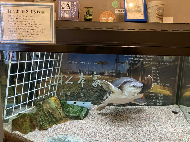 Adaさんの松本湯のサ活写真