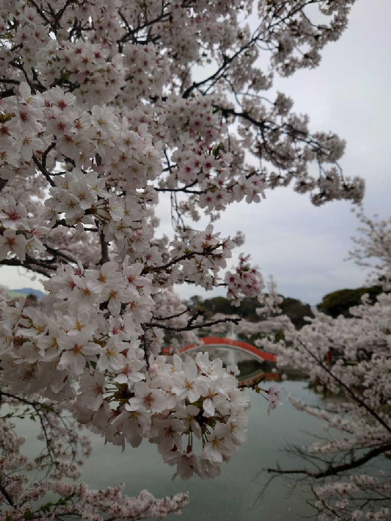 仲野 翔紀さんの宗像王丸・天然温泉 やまつばさのサ活写真